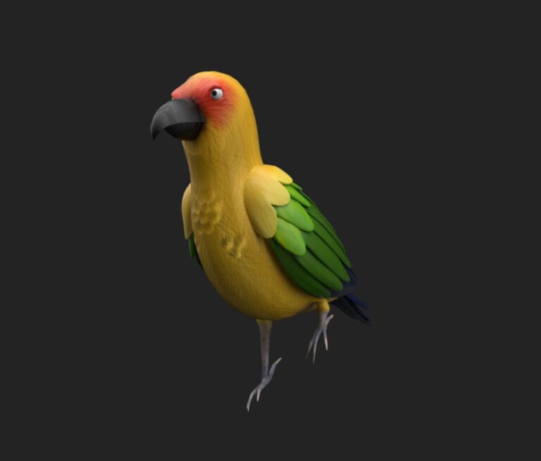 preview full bird