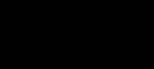 web v02 17