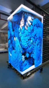 268bcc5f a4ed 4260 a044 ed34ddb59a6d