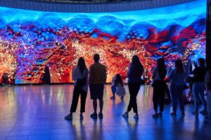 67236b44ce355b01df2f3a28 entropy for zsolnay 1