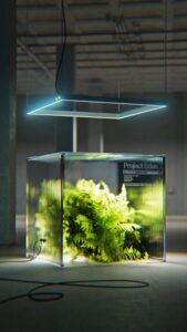 ce1e6a7949bf42d9f42a774b58aef7ea