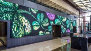 led lobby
